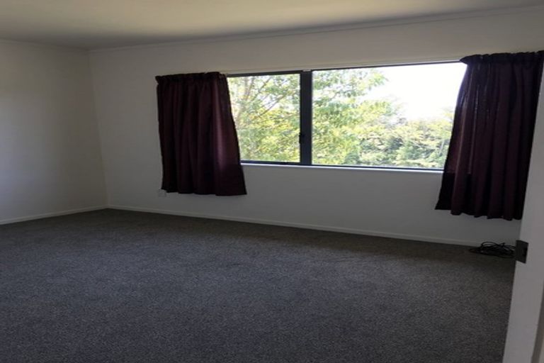 Photo of property in 33 Williams Road North, Pyes Pa, Tauranga, 3173