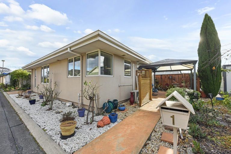Photo of property in 1 Ivy Crescent, Richmond, 7020