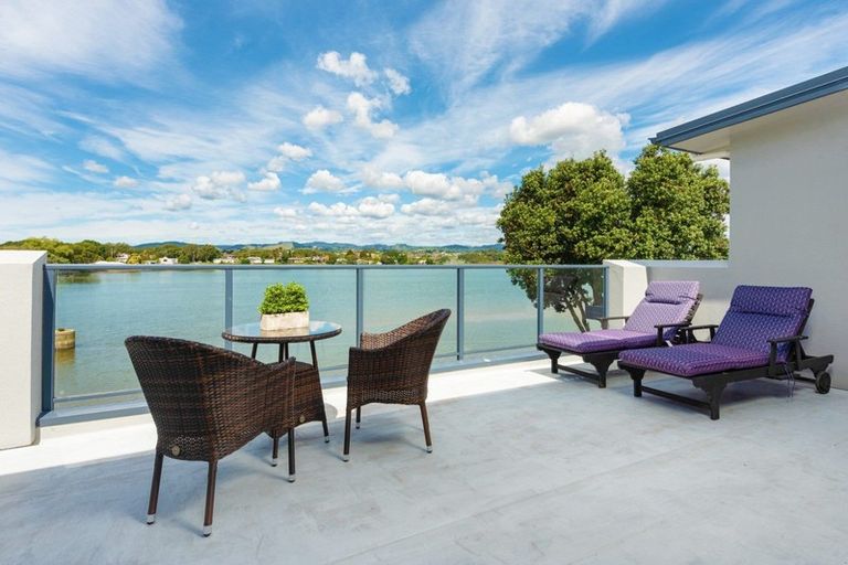 Photo of property in 53 Scantlebury Street, Tauranga South, Tauranga, 3112