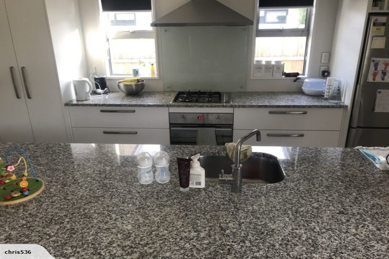 Photo of property in 6 Snowberry Street, Albert Town, Wanaka, 9305