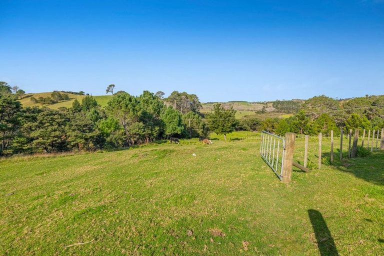 Photo of property in 499 Shelly Beach Road, South Head, Helensville, 0874