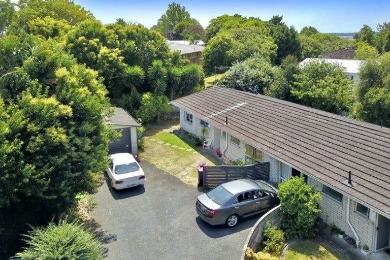 Photo of property in 9 Harrier Street, Parkvale, Tauranga, 3112