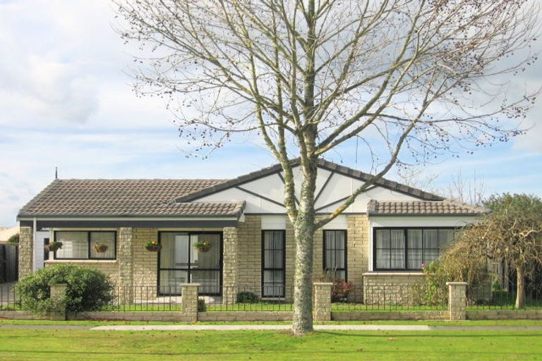 Photo of property in 40 Endeavour Avenue, Flagstaff, Hamilton, 3210