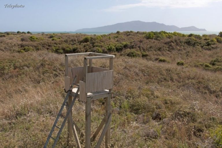 Photo of property in 47 Pingoa Lane, Peka Peka, Waikanae, 5391