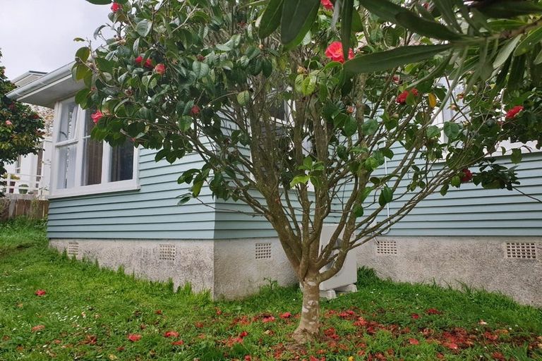 Photo of property in 5 Cumberland Grove, Cannons Creek, Porirua, 5024