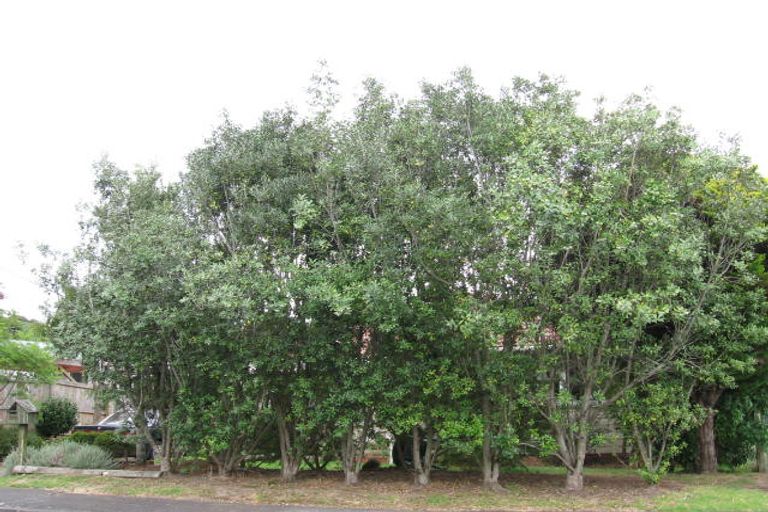 Photo of property in 12 Fuchsia Place, Birkdale, Auckland, 0626