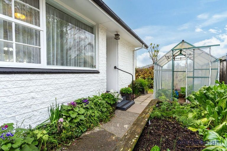 Photo of property in 11 Straven Road, Riccarton, Christchurch, 8011