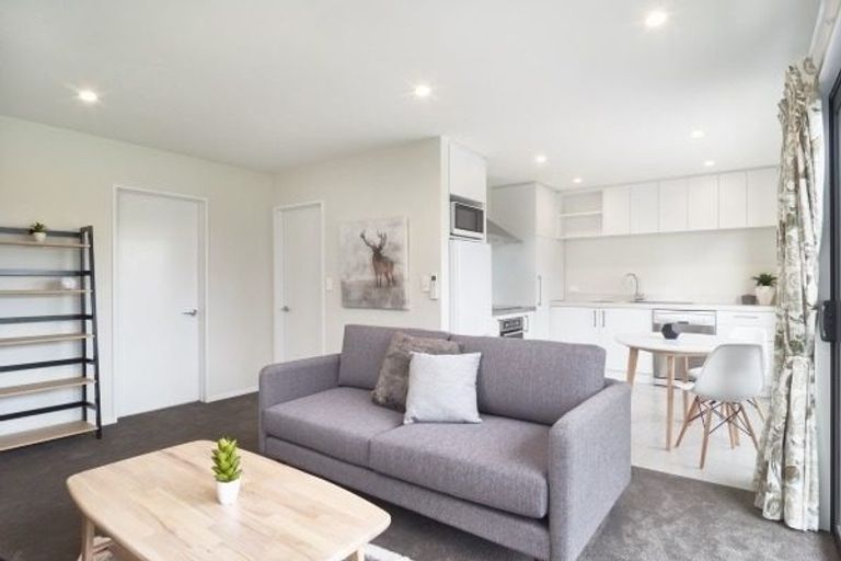Photo of property in Riverena Flats, 377 Barbadoes Street, Christchurch Central, Christchurch, 8011