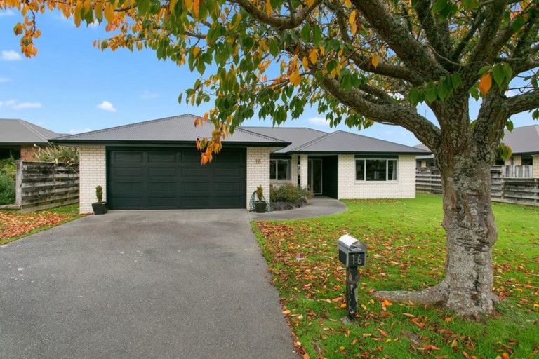 Photo of property in 16 Ashworth Place, Matamata, 3400