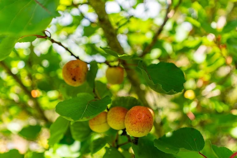 Photo of property in 205 Takahoa Drive, Kaiwaka, 0573