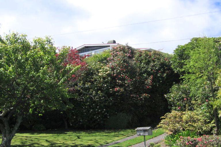 Photo of property in 8 Waihora Street, Taupo, 3330