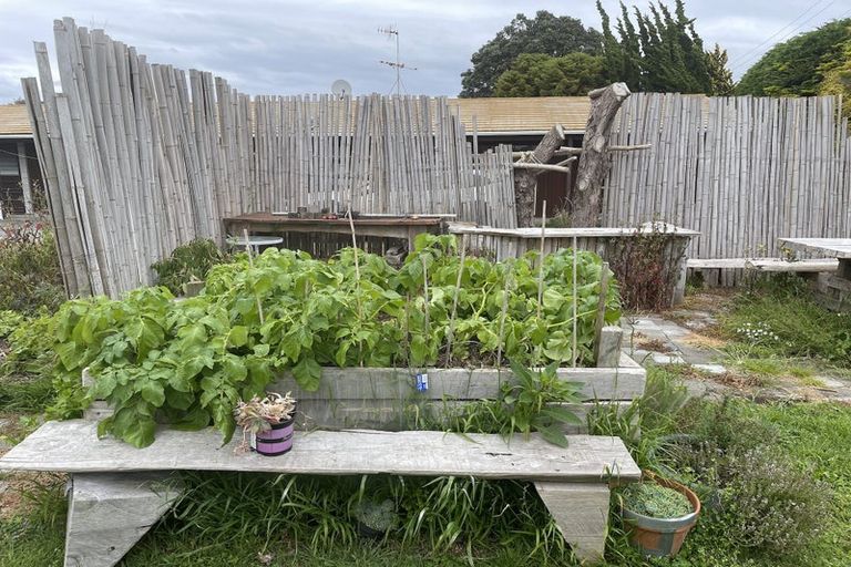 Photo of property in 145 Te Moana Road, Waikanae, 5036