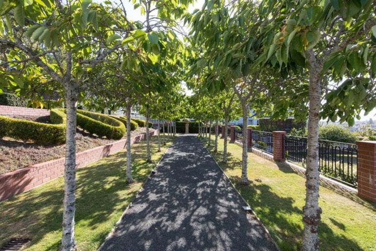 Photo of property in 43 Arney Road, Remuera, Auckland, 1050