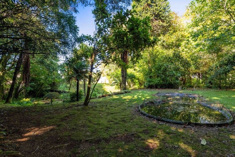 Photo of property in 58 Celia Street, Stratford, 4332