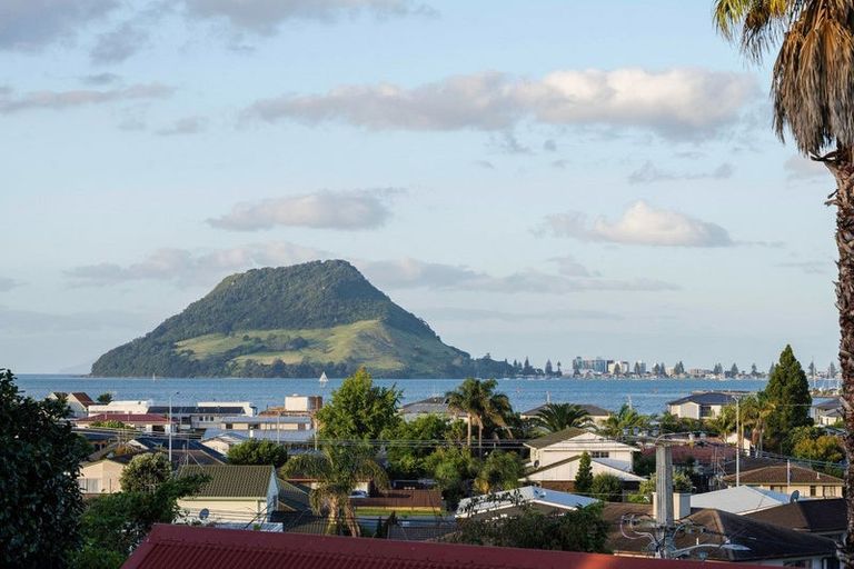 Photo of property in 80 Maxwells Road, Otumoetai, Tauranga, 3110