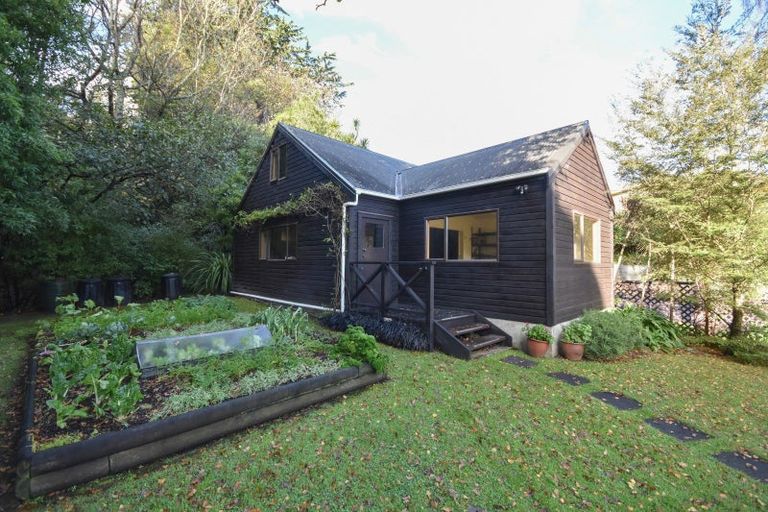 Photo of property in 23 Every Street, Andersons Bay, Dunedin, 9013