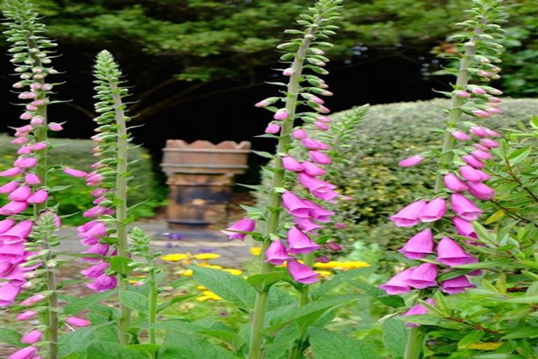 Photo of property in 104 French Farm Valley Road, French Farm, Akaroa, 7582