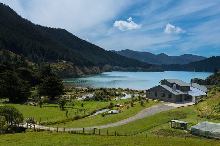 Photo of property in Oyster Bay, Oyster Bay, Picton, 7281