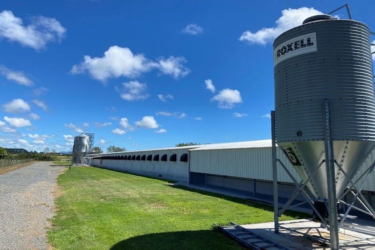 Photo of property in 116 Ngatimaru Road, Tikorangi, Waitara, 4383