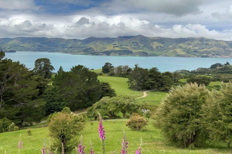Photo of property in 195 Jubilee Road, Wainui, French Farm, 7582
