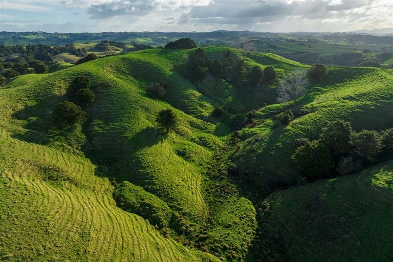 Photo of property in 435 Wairere Road, Paparoa, 0571