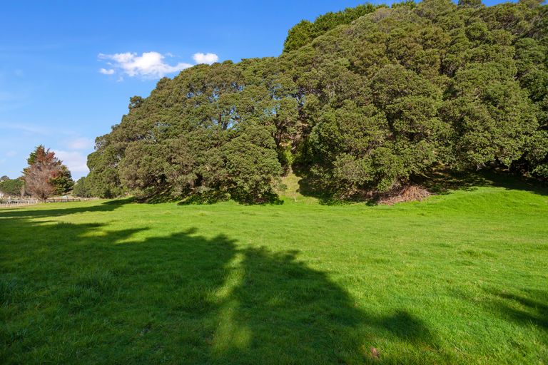 Photo of property in 107 Ohiwa Loop Road, Waiotahe, Opotiki, 3198