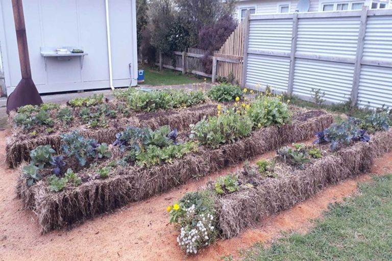 Photo of property in 25 Main Road, Tuatapere, 9620