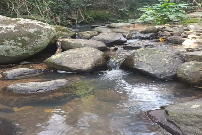 Photo of property in 335 Te Kouma Road, Te Kouma, Coromandel, 3581