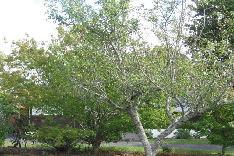 Photo of property in 47 Chilcott Road, Henderson, Auckland, 0612