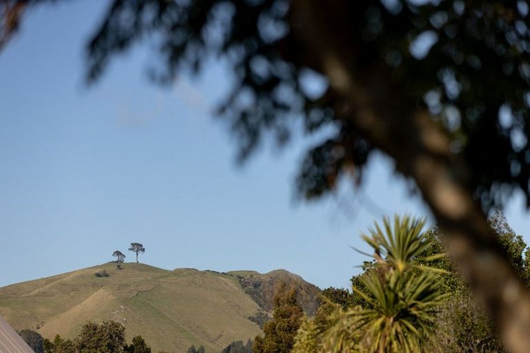 Photo of property in 13a Jasper Way, Papamoa Beach, Papamoa, 3118