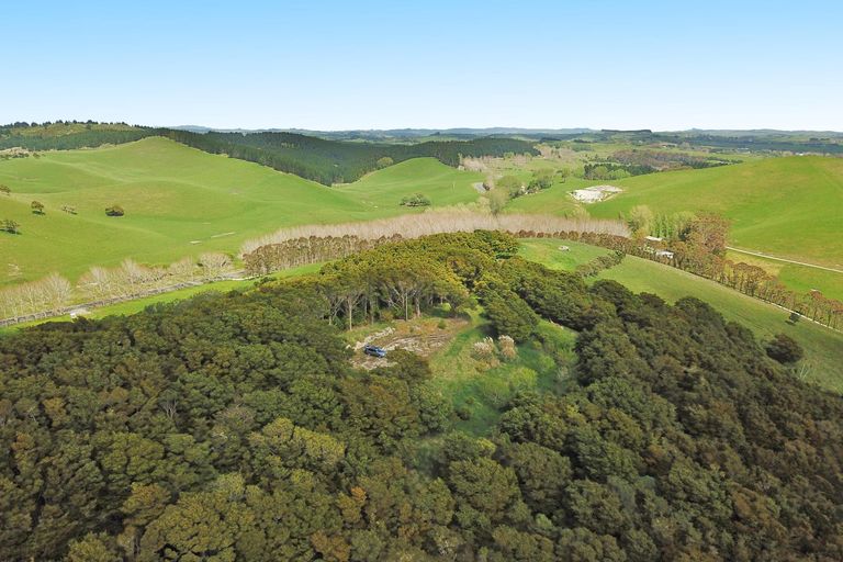 Photo of property in 542e Oneriri Road, Kaiwaka, 0573