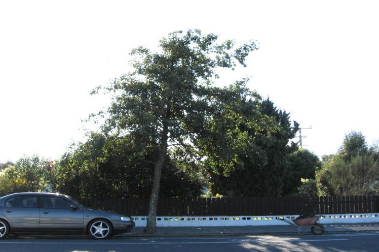 Photo of property in 274 Mill Road, Otaki, 5512