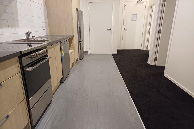 Photo of property in Te Kainga, 195 Willis Street, Te Aro, Wellington, 6011