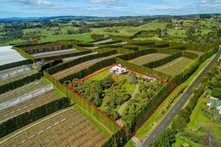 Photo of property in 311 Wainui Road South, Whakamarama, Katikati, 3181