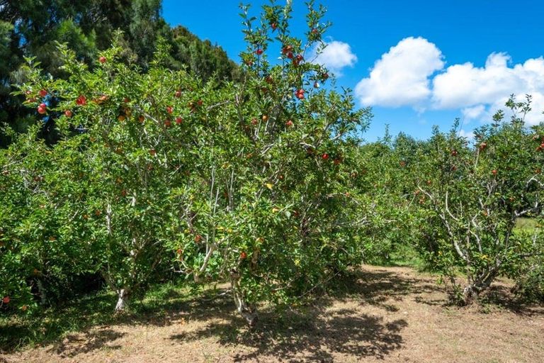 Photo of property in 1295 Coatesville-riverhead Highway, Kumeu, 0892