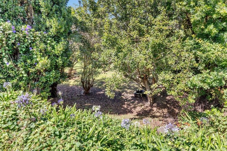Photo of property in 93 Alma Road, Gonville, Whanganui, 4501