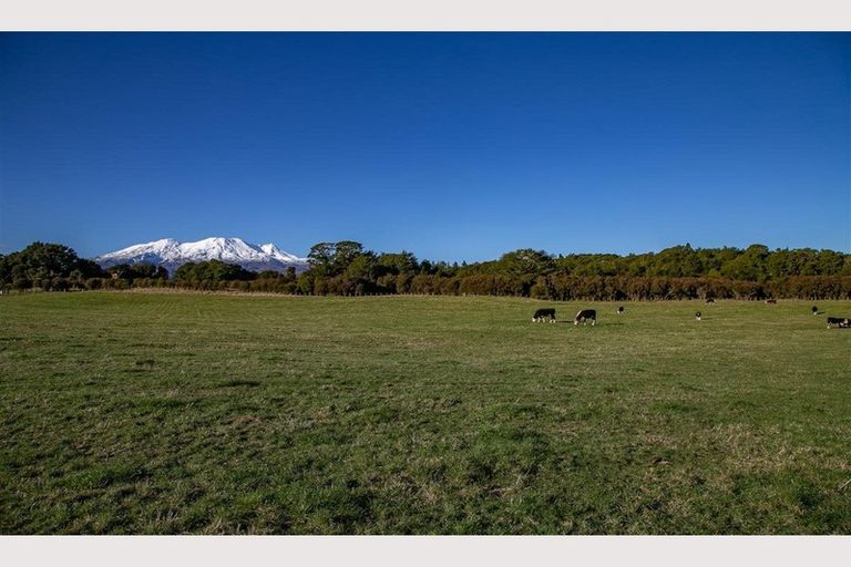 Photo of property in 164 Matapuna Road, Horopito, Raetihi, 4696