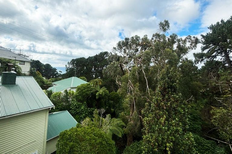 Photo of property in 51 Mortimer Terrace, Brooklyn, Wellington, 6021