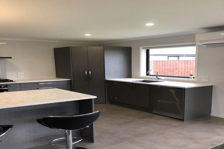 Photo of property in 20 Asheridge Place, Wigram, Christchurch, 8025