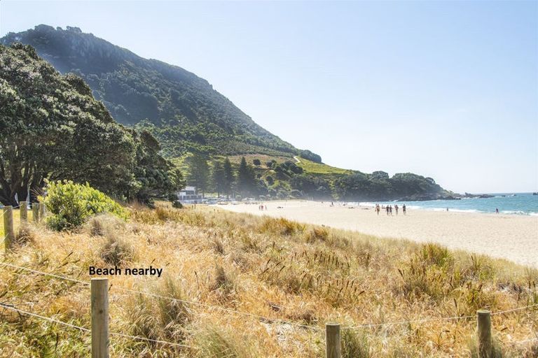 Photo of property in 14b Bain Street, Mount Maunganui, 3116