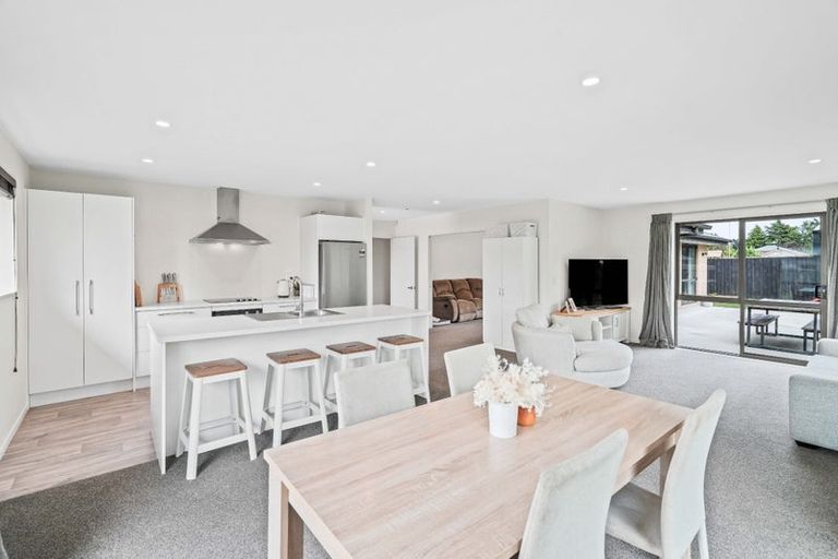 Photo of property in 17a Normanby Street East, Rakaia, 7710