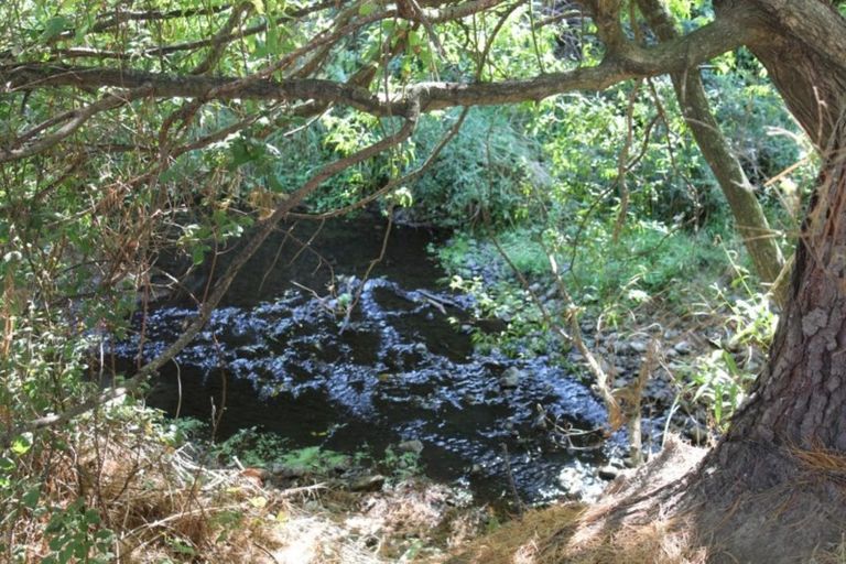 Photo of property in 20 Louise Street, Ormondville, Dannevirke, 4977