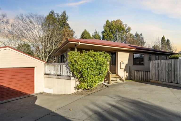 Photo of property in 24 Sharyn Place, Brookfield, Tauranga, 3110