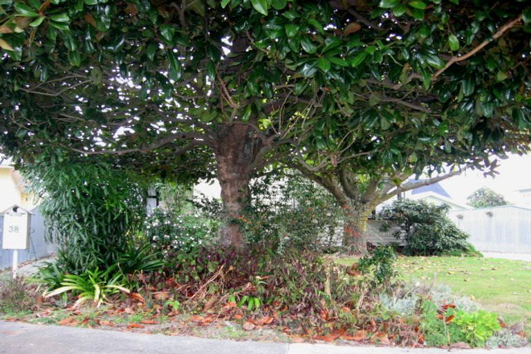 Photo of property in 38 Duff Crescent, Highbury, Palmerston North, 4412
