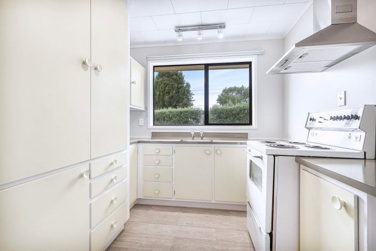 Photo of property in 233 Dey Street, Hamilton East, Hamilton, 3216