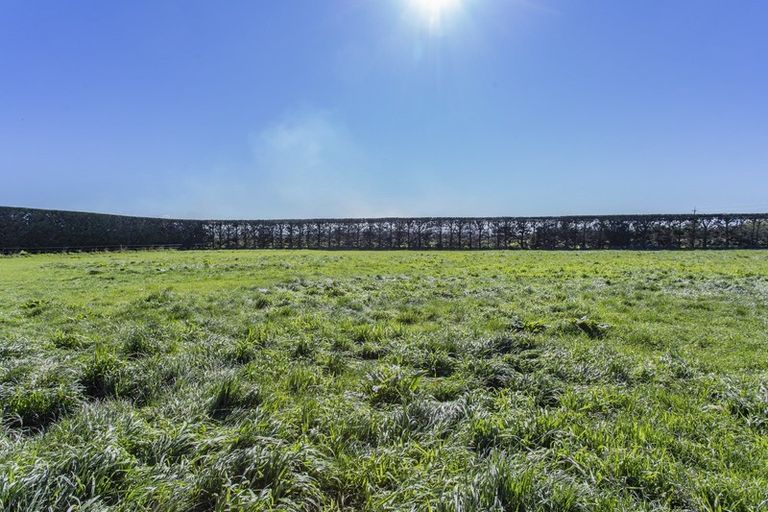 Photo of property in 281 Moderates Road, West Eyreton, Rangiora, 7476