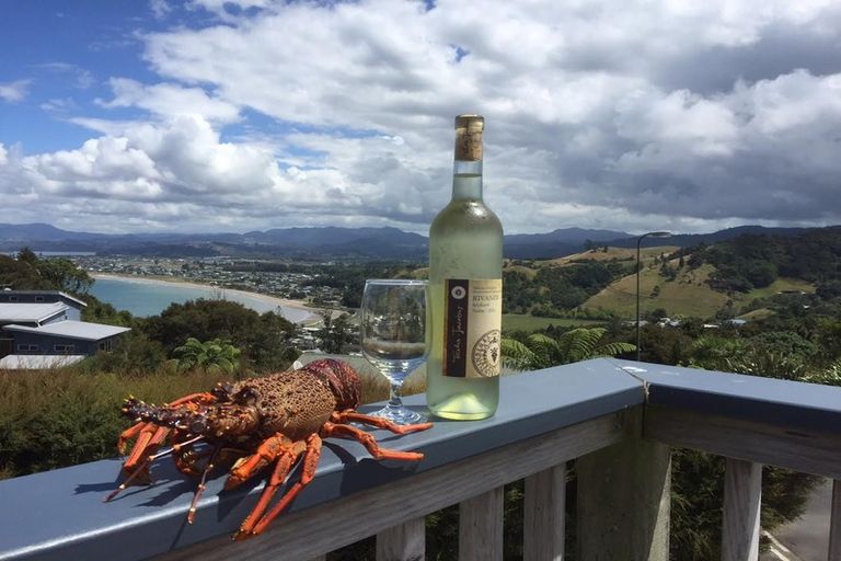 Photo of property in 6 Rabbit Way, Whitianga, 3510