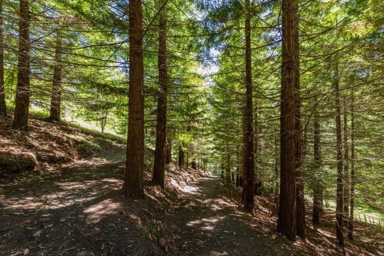 Photo of property in 77 Black Barn Road, Havelock North, 4294