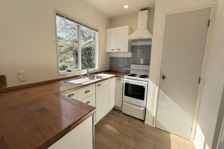 Photo of property in 4/44 Kingsland Avenue, Kingsland, Auckland, 1021