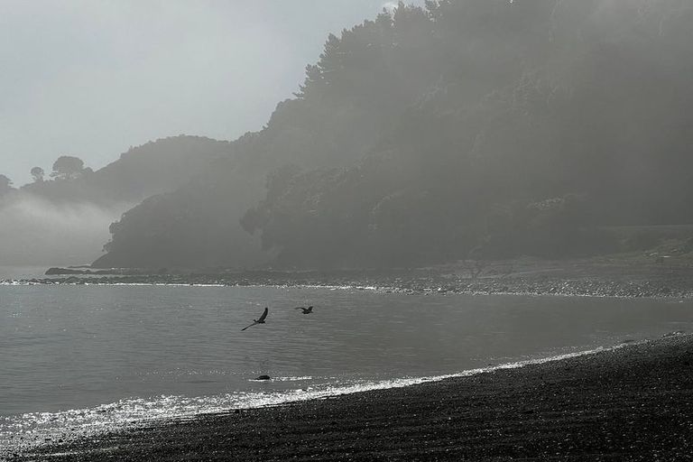 Photo of property in 4 Jean Road, Te Mata, Thames, 3575